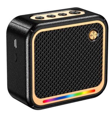 KAKUSIGA KSC-1007 sports wireless speaker